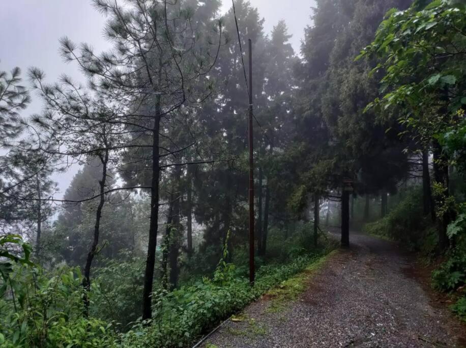 The Hill Story, Entire Chalet, Offbeat,Cozy Mussoorie Eksteriør bilde