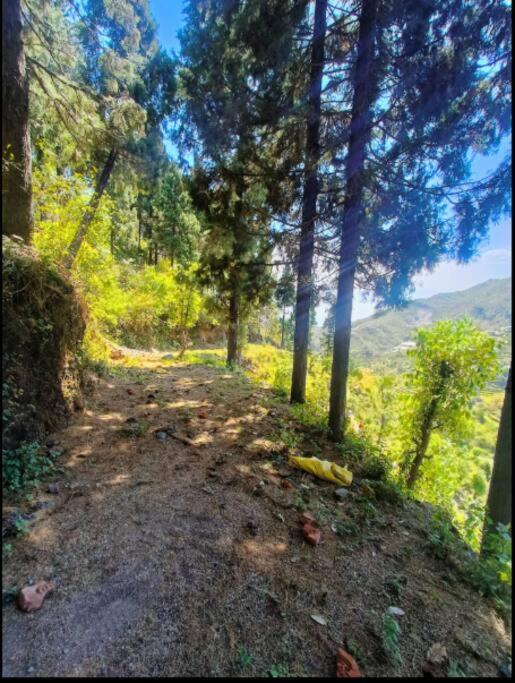 The Hill Story, Entire Chalet, Offbeat,Cozy Mussoorie Eksteriør bilde