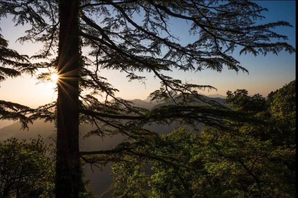 The Hill Story, Entire Chalet, Offbeat,Cozy Mussoorie Eksteriør bilde